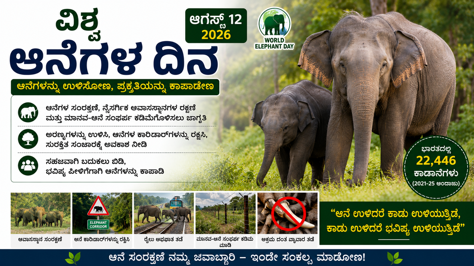 ವಿಶ್ವ ಆನೆಗಳ ದಿನಾಚರಣೆ: